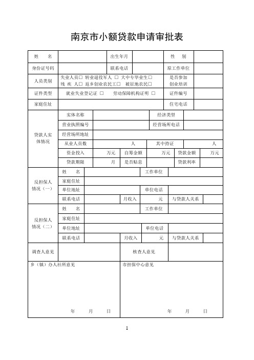 小额贷款申请表