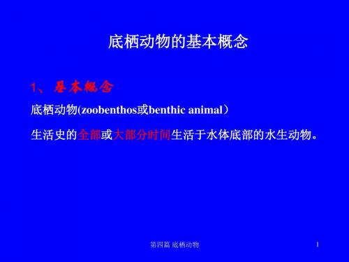 22第四篇 底栖动物 第一章 环节动物