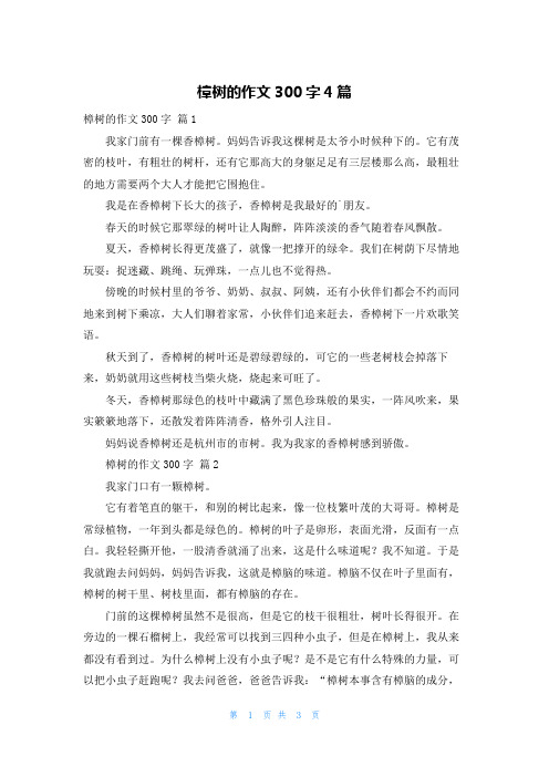 樟树的作文300字4篇