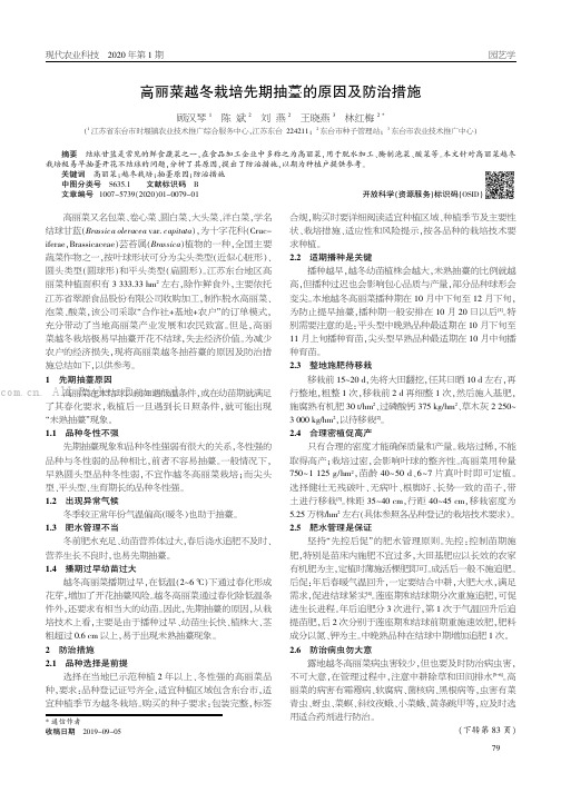 高丽菜越冬栽培先期抽薹的原因及防治措施