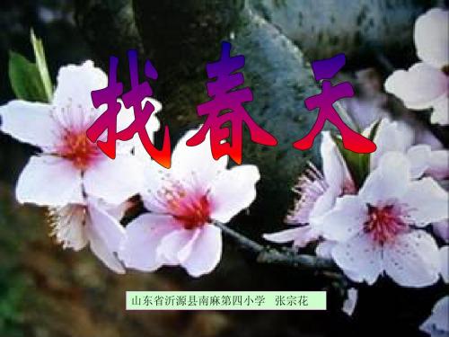 新建 Microsoft PowerPoint 演示文稿