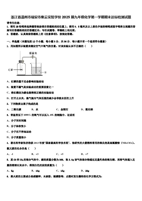 浙江省温州市瑞安市集云实验学校2025届九年级化学第一学期期末达标检测试题含解析