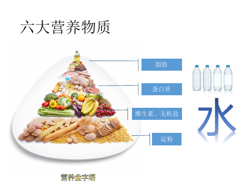 六年级上册科学课件第1单元 3食物的消化 粤教版(共10张PPT)