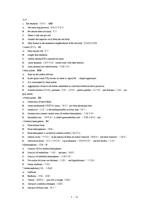 神经科学答案1