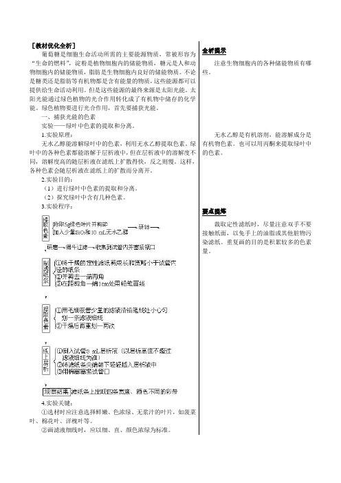 人教新课标高中生物必修一章节知识要点捕获光能的色素和结构