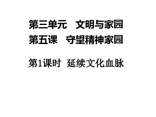 人教部编版九年级道德与法治上册5.1延续文化血脉课件