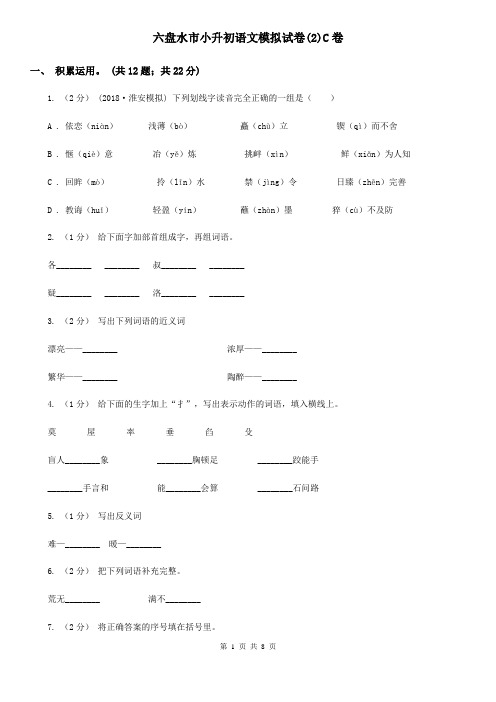 六盘水市小升初语文模拟试卷(2)C卷