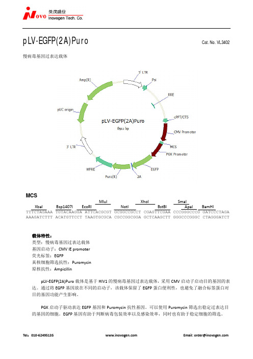 pLV-EGFP(2A)Puro双标慢病毒载体