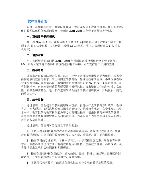 教师培养计划