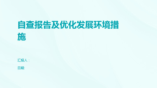 自查报告及优化发展环境措施