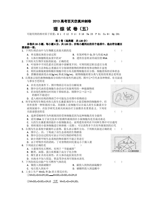 2013高考百天仿真冲刺卷(理综试卷五)