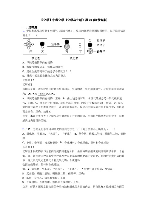 【化学】中考化学《化学与生活》题20套(带答案)