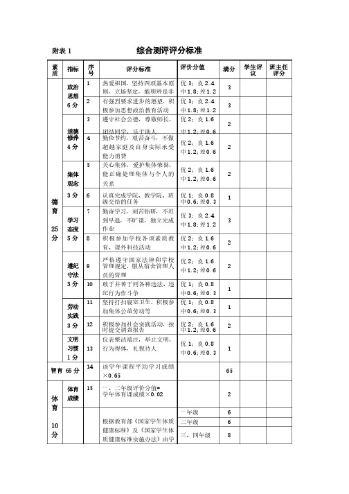 综合测评评分标准