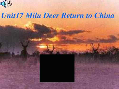 unit-17-Milu-Deer-Return-to-China-旧人教版