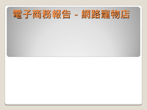 《电子商务报告》PPT课件
