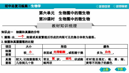 中考生物生物圈中的微生物