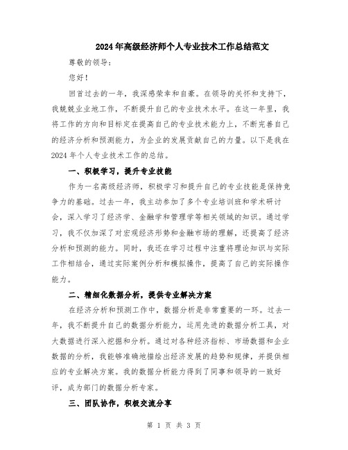 2024年高级经济师个人专业技术工作总结范文