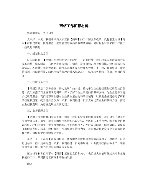 两纲工作汇报材料