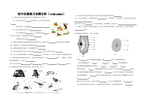 初中生物复习识图分析(七年级上册部分)