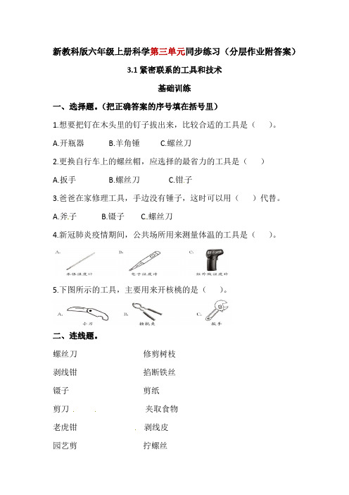 教科版科学六年级上册全册第三单元同步练习(分层作业附答案)