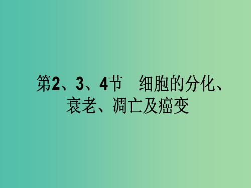 高考生物一轮复习 第6章 细胞的生命历程 第2、3、4节 细胞的分化、衰老、凋亡及癌变 新人教版必修