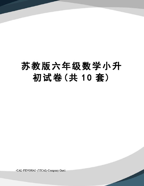 苏教版六年级数学小升初试卷(共10套)