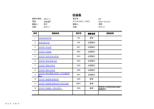 EW 无形资产审计工作底稿模版