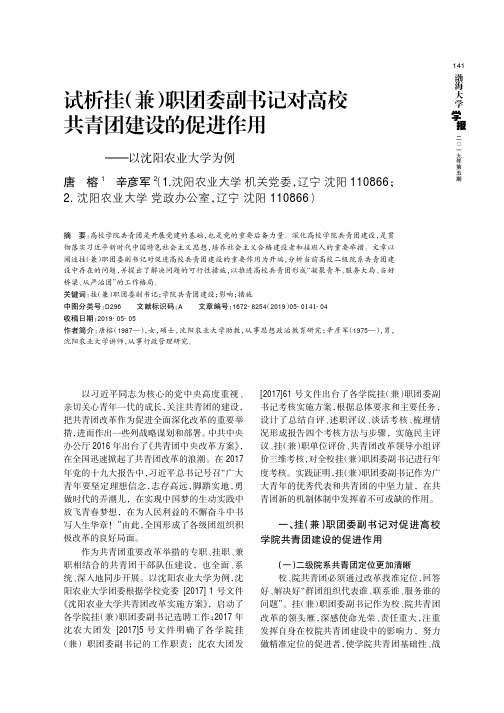 试析挂(兼)职团委副书记对高校共青团建设的促进作用——以沈阳农