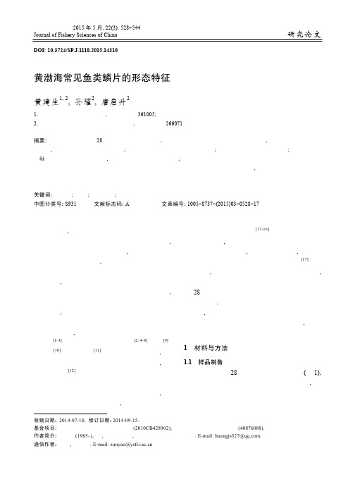 黄渤海常见鱼类鳞片的形态特征