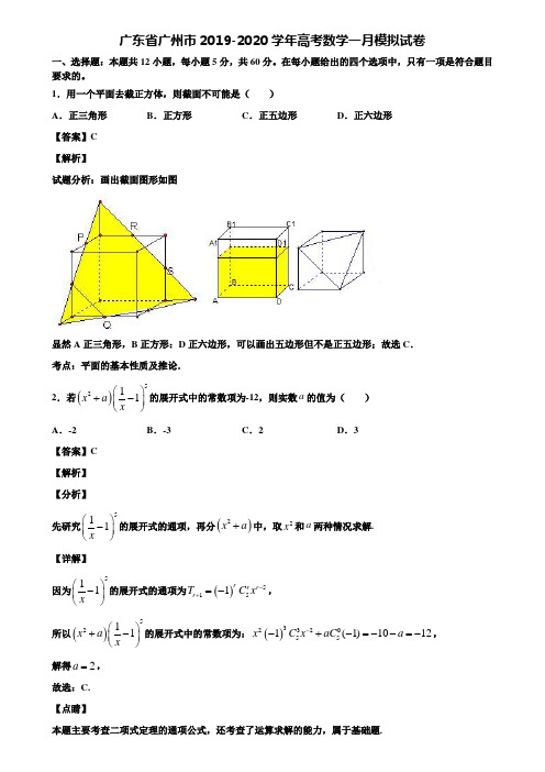 广东省广州市2019-2020学年高考数学一月模拟试卷含解析