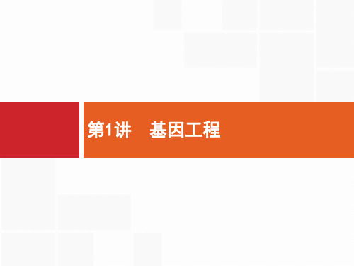 2019高三生物(苏教版)一轮课件：14.1 基因工程 