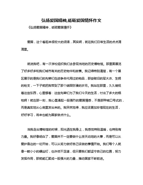 弘扬爱国精神,砥砺爱国情怀作文