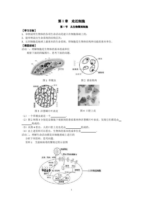 第一章走近细胞