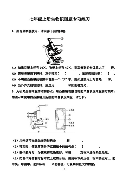 初中生物：七年级上册生物识图题专项练习(含答案)