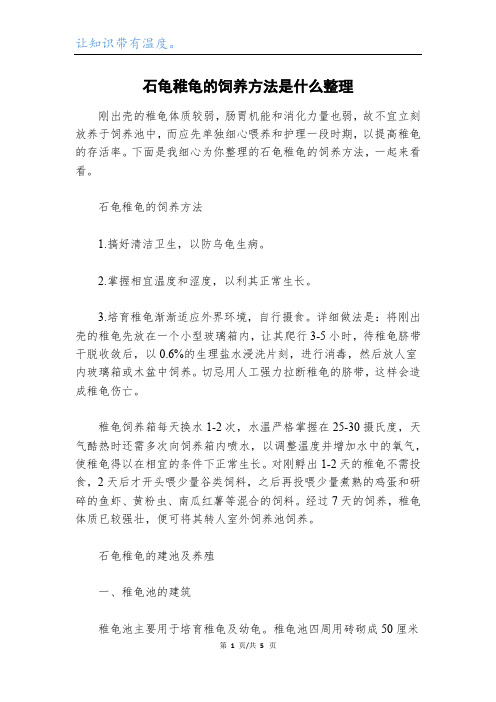 石龟稚龟的饲养方法是什么整理