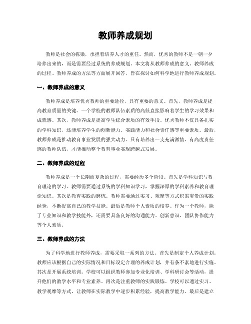 教师养成规划