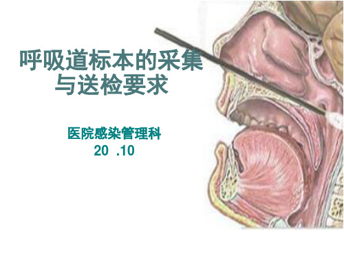 呼吸道标本的采集与送检要求