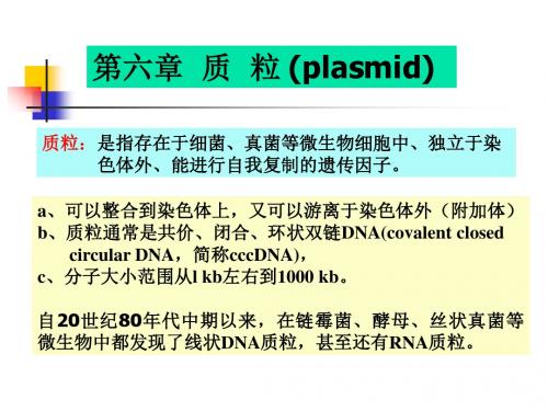 第六章质粒plasmid-PPT文档资料