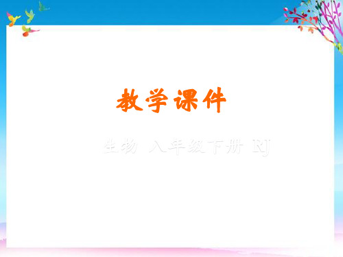 八年级生物下册第八单元降地生活第二节选择降的生活方式教学课件新版新人教版