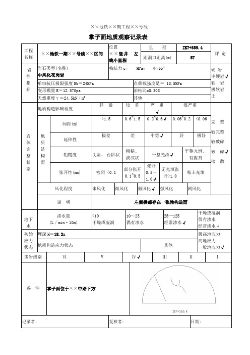 掌子面地质观察记录表