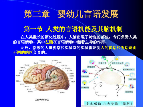 第三章  婴幼儿言语发展