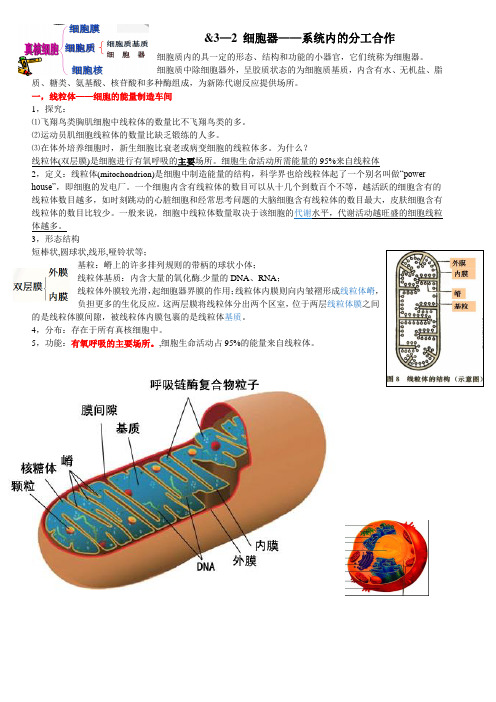 细胞器 资料