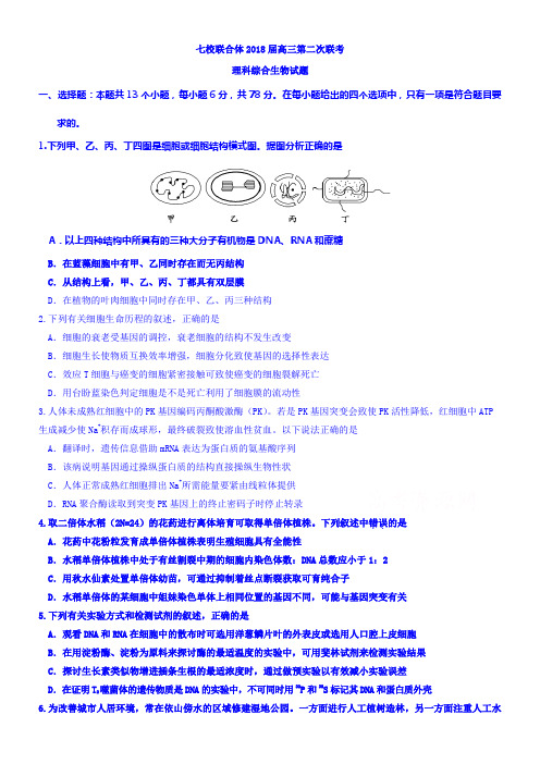 山东省七校联合体2018届高三第二次联考理科综合生物试题