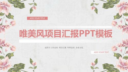 项目汇报总结PPT模板