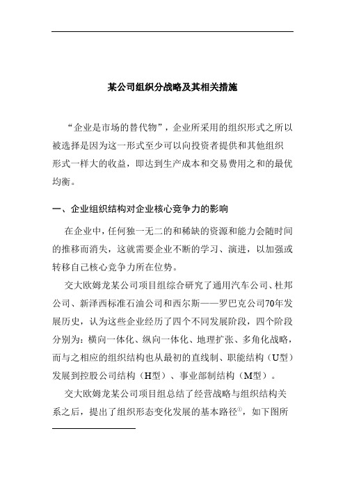 某公司组织战略及措施管理方案