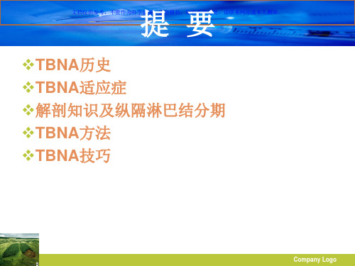 经支气管针吸活检术TBNA课件