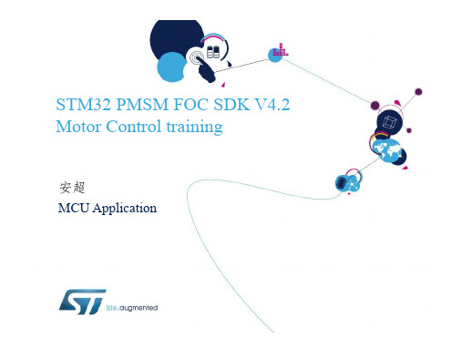 STM32 PMSM SDK V4.2 使用指南中文版