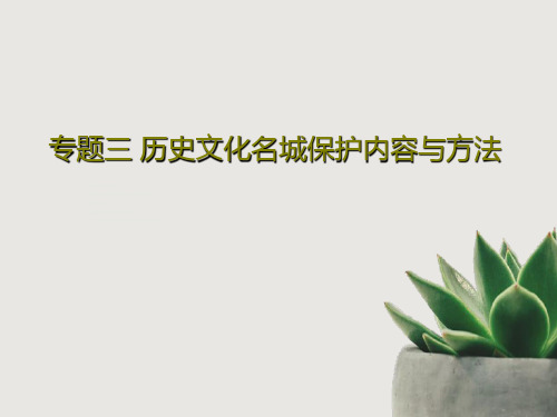 专题三 历史文化名城保护内容与方法PPT文档85页