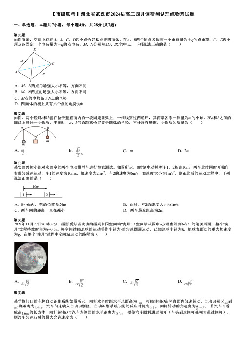 【市级联考】湖北省武汉市2024届高三四月调研测试理综物理试题