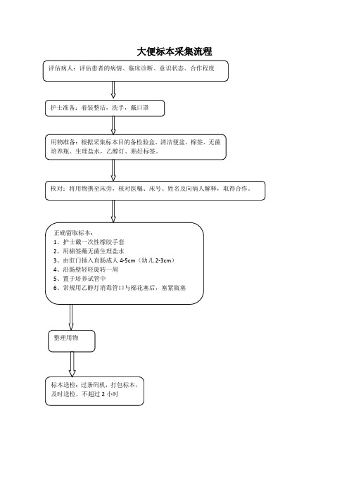 大便标本采集流程